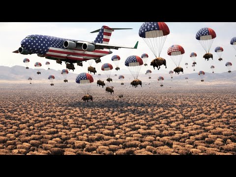 How the Texas Desert Plains Is Being Revived by Millions of Bison - The IMPOSSIBLE Happened!