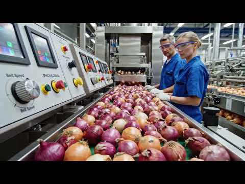 Inside the U.S.'s Largest Onion Factory: From Raw Onions to Premium Powder