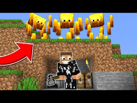 Hardcore, but all mobs are blazes