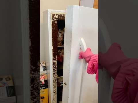 That burger tho!😋 #deepclean #oddlysatisfyingvideo #dirtyhome #messyhome