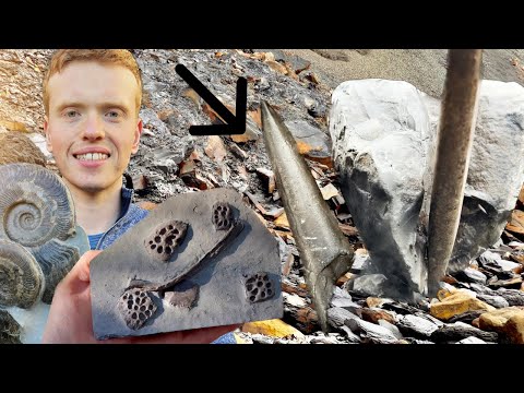 Squid, Crocodile Bones, Large Ammonite! 3 Day Outdoor Hunt! | Fossil Hunter