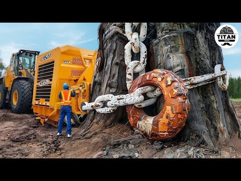 Extreme Dangerous Monster Stump Removal Excavator | Amazing Fastest Wood Chipper Machines #44