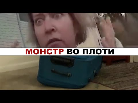 Он сам залез в чемодан