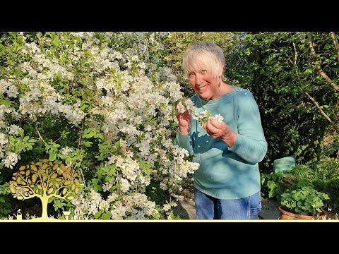 Gardeners’ World 2025 Ep10 | Foxgloves, Mental Health Gardens & Chelsea-Ready Alpines