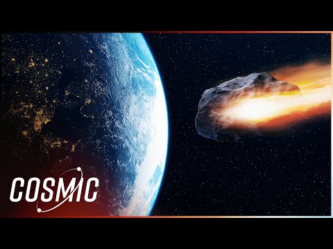 The Science Behind Mass Extinctions: Past, Present And Future
