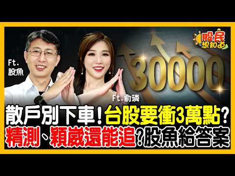 台股飆漲到頂？輝達$3500億美金洩天機！精測、穎崴股價兩千金操作策略！0050、6208「踩雷股」怎辦？《股民想知道》ft. 股魚.俞璘