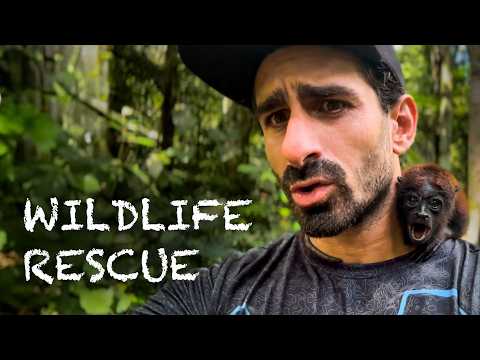 Jungle Wildlife Rescue | The Junglekeeper Podcast