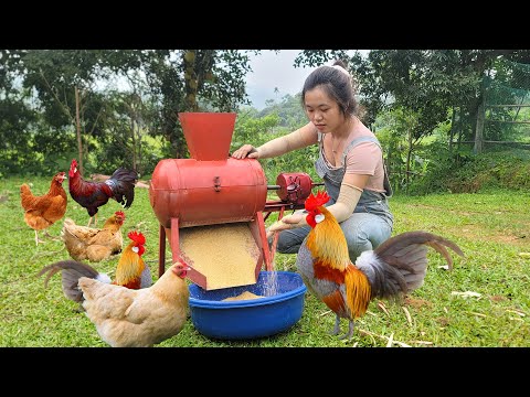 Good Deeds Corner: Helping a Farmer Build a Corn Grinder for Poultry | DIY