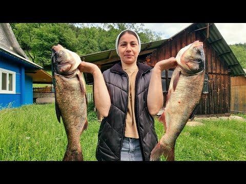 From Mountain to Market: A Fresh Fish Expedition! Canning fish in the new kitchen!