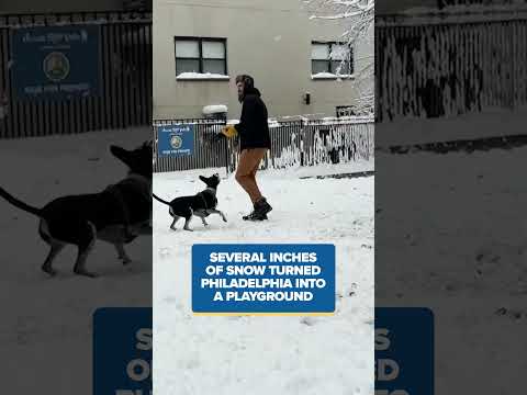 Ice jams causing concerns on Swatara Creek, heavy snow turns Philadelphia into a dog playground