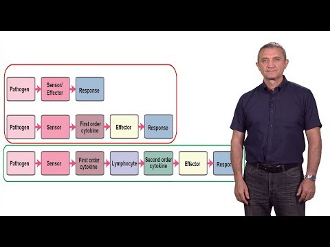 Ruslan Medzhitov (Yale / HHMI) 1: Introduction to Inflammation