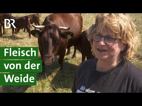 Kuh mit Kalb: Lohnt sich Mutterkuhhaltung auf der Weide? | Unser Land | BR