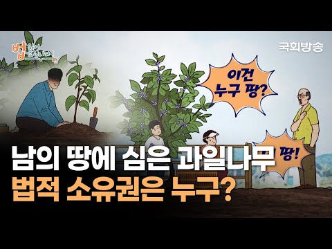 남의 땅에 심은 과일나무, 법적 소유권은 누구? | 법 읽어드립니다! | 국회방송