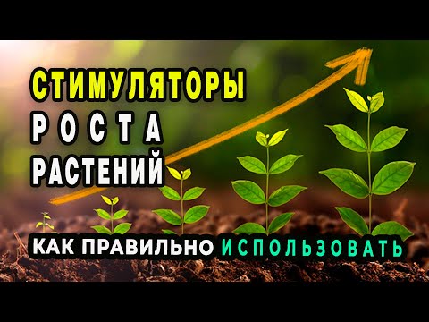 Стимуляторы роста растений РАДИФАРМ, ВИВА, КВИК ЛИНК, МЕГАФОЛ. Как применять. Ответы на вопросы