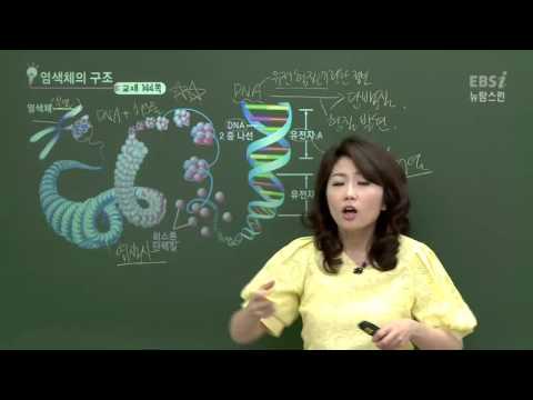 유전자와 염색체과 DNA복제