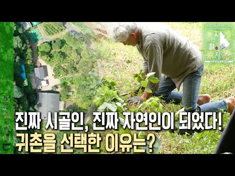 귀촌 로망을 이루었다! 생을 마감하는 그날까지 진짜 시골인으로 살고 싶은 부부의 사연은? [자연의 철학자들 KBS 20220826 방송]