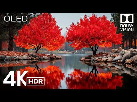 HEAVENLY LANDSCAPES in 4K HDR 60FPS 🌿 Dolby Vision (4K Video)