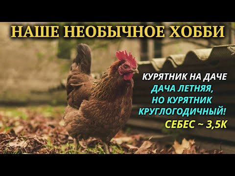 Наше необычное хобби /  КУРЯТНИК НА ДАЧЕ на 25 кур