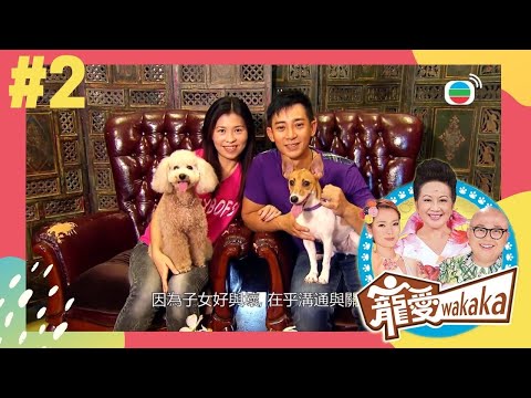 能文能武！我的狗狗會游泳還會算數 | 寵愛wakaka | 家燕媽媽、林盛斌、呂慧儀 | TVB 親子節目 | 寵物節目 |