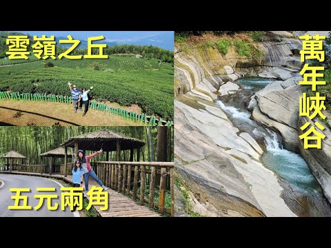 九芎神木、雲嶺之丘、五元兩角、木馬古道、萬年峽谷~雲林縣古坑鄉草嶺石壁一日遊。草嶺小吃部的苦茶油雞超好吃。