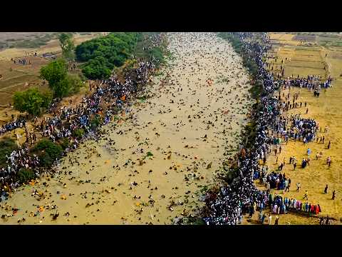 1 Hour of Urban Hell on Earth