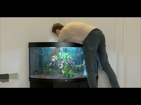 Запуск медленного травника 350л с нуля