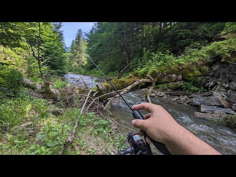 МАЛЬОВНИЧЕ МІСЦЕ ДЕ ЖИВУТЬ ФОРЕЛІ! Риболовля в Карпатах!