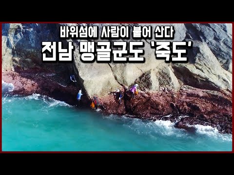 우물도 없어 빗물을 받아 쓰는 섬. 바다가 거세 양식도 할 수 없는 섬. '맹골군도' 바위섬 죽도에도 사람들이 살고 있다 (KBS_2018.08.11 방송)