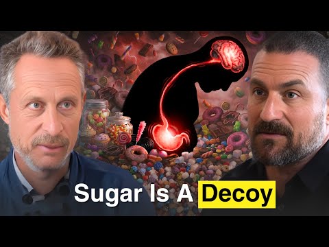 How to Destroy Sugar Cravings (According to Neuroscience)