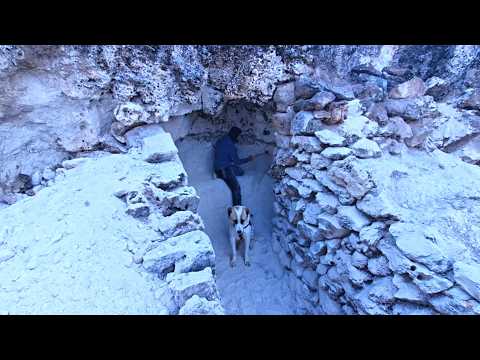 We Built a Winter Survival Camp for a Storm — Just Me & My Dog (Bushcraft ASMR)