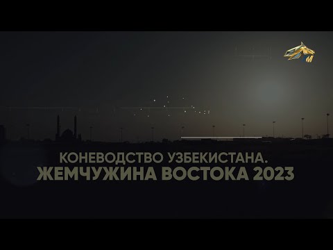 PRO_Лошадей. Коневодство Узбекистана. 3 июня 2023.16:20
