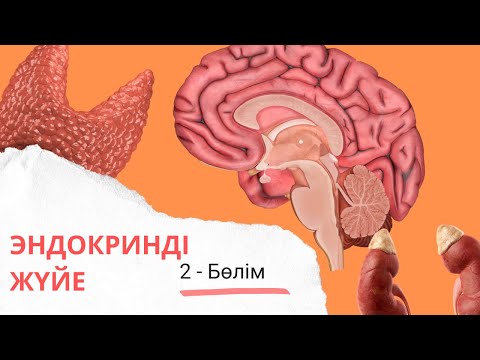 эндокринді жүйе| эпифиз, қалқанша, қалқанша маңы бездері| 2 - бөлім