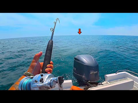 I Was Trolling a Ballyhoo Offshore and Caught THIS!