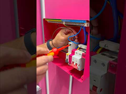 The Fuse Box Face-Off: One Electrician Breaks the Rules!