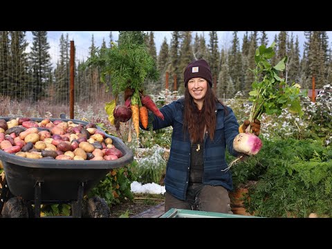 Root Veggies Galore! Firewood Processing & 2026 Alaska Calendar
