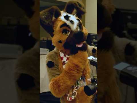 The most appealing aspect of the furry fandom