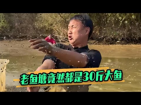包下壹個十年沒有幹過的老魚塘，裏面竟然都是30斤大魚 #大表哥 #護外