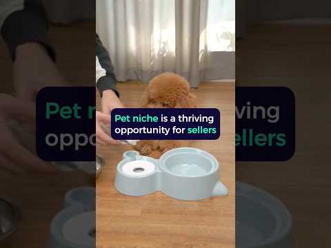 Pet Products for Dropshipping | Part 1