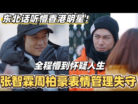 东北话听懵香港明星！张智霖周柏豪表情管理失守 全程懵到怀疑人生🤣#陈小春 #张智霖 #林晓峰 #谢天华 #吴卓羲 #周柏豪 #大湾仔的夜