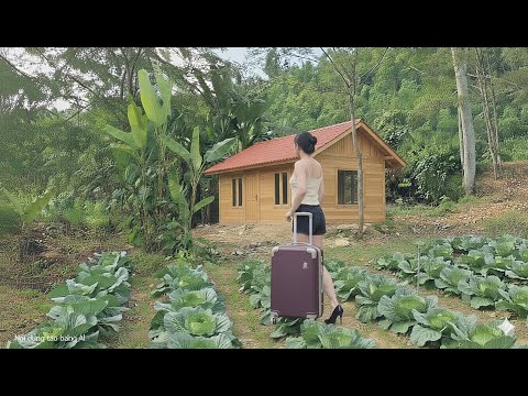 #1| The Journey Home After 8 Years and the Unexpected Transformation of an Abandoned House