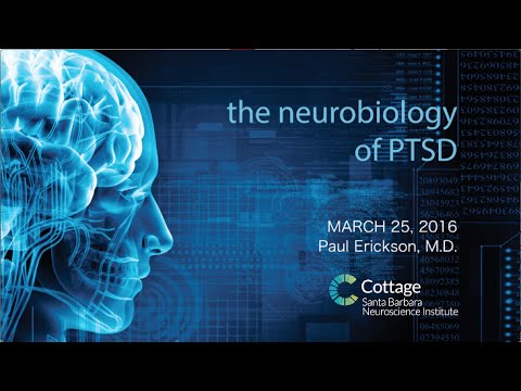 SBNI Lunch Lecture Series - The Neurobiology of PTSD