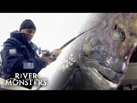 Why Do Fishermen Keep Disappearing In Alaska? | River Monsters