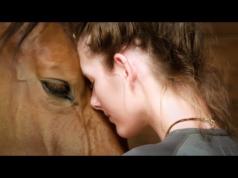 The 24 Behaviors of the Ridden Horse in Pain: Shifting the Paradigm of How We See Lameness