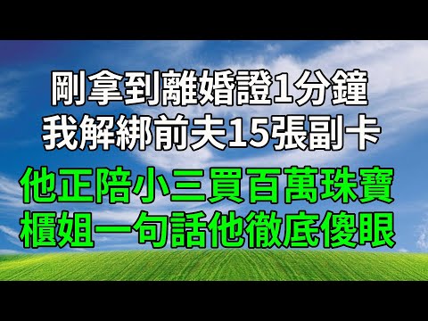 剛拿到離婚證1分鐘，我解綁前夫15張副卡，他正陪小三買百萬珠寶，櫃姐一句話他徹底傻眼。#故事分享 #人生感悟 #打脸