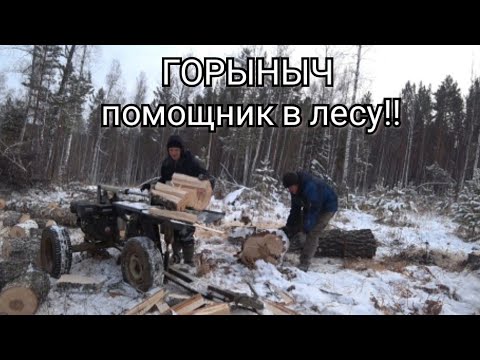 ЗАГОТОВКА ДРОВ!!! ДРОВОКОЛ ГОРЫНЫЧ БЕРЁМ С СОБОЙ В ЛЕС  КОЛОТЬ БЕРЁЗУ!!! НЕ ЗРЯ КУПИЛ ДРОВОКОЛ.