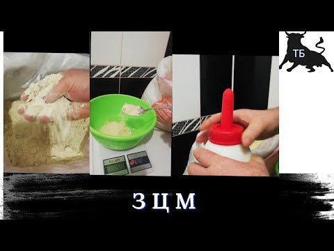 №41. Відгодівля биків в Україні. Випоювання телят замінником цільного молока. Все буде UA!!!