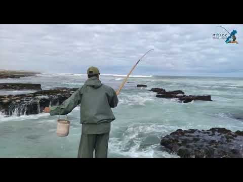 Pêche Au Maroc:خرجة لمصايد دكالة الرائعة #إختيار المصيد#التقنية المناسبة#المونتاج الفعال#الحصيلة