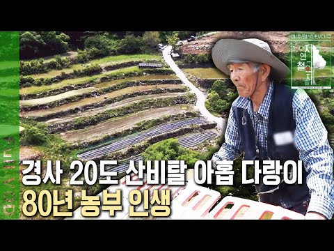 7살 때 지게 지고 시작했다?! 돈이 모이면 한 다랑이씩 사서 늘려온 지리산 비탈 아홉 '다랑논'  80년 농부 인생 이야기 [자연의 철학자들 KBS 20221028 방송]