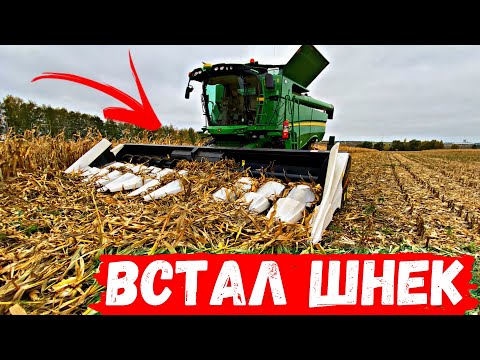 УБИРАЕМ МЁРТВУЮ КУКУРУЗУ! Комбайн ЗАГЛОХ.