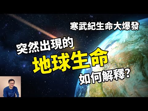 我們都是外星生命的證據？探秘詭異的寒武紀生命大爆發！【老肉雜談】